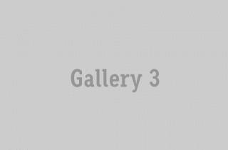 gallery_3